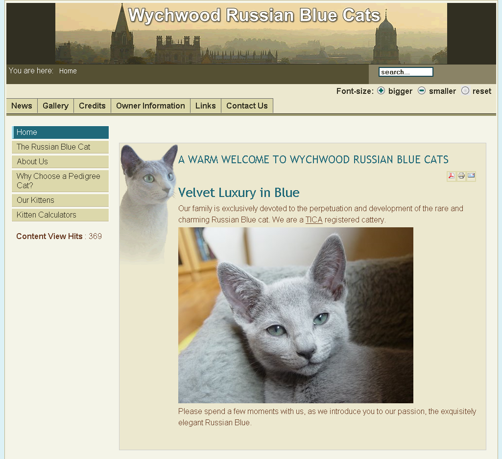 Final design for the Wychwood Russian Blue Cats website