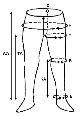 Figure 1: taking your measurements