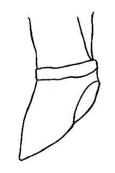 Figure 2: the foot
