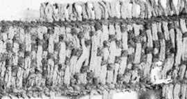 Original band from Birka grave 824