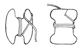 Figure 2: Shuttles